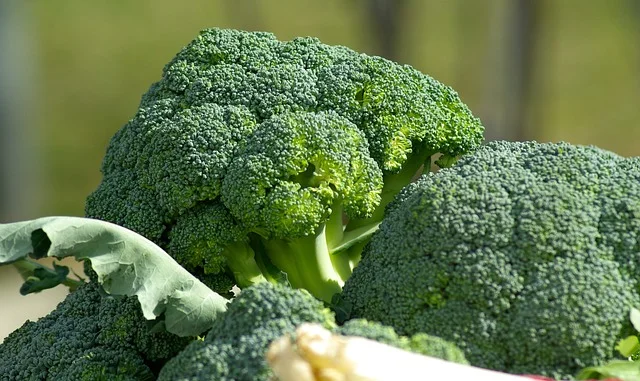 brocoli