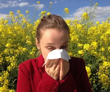 Estudio sobre la dieta plant-based y las alergias